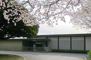 日本芸術院