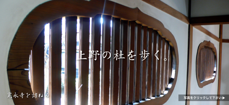 上野の杜を歩く。