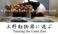 Touring the Ueno Zoo