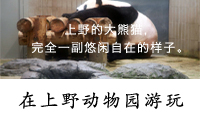 在上野动物园游玩