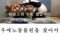 우에노동물원을 찾아서